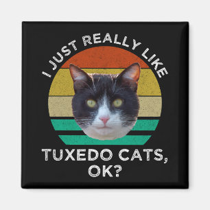 Ich mag Tuxedo-Katzen einfach wirklich OK? Magnet