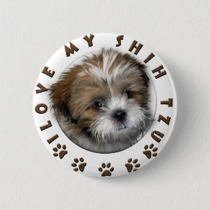 Ich mein schicker Tzu-Tender-Design Button