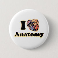Ich möchte Anatomie Science Super Geek Teacher