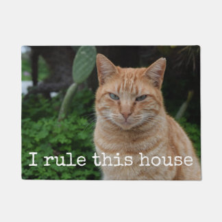 Ich ordne diese Haus-lustige kundenspezifische Fußmatte