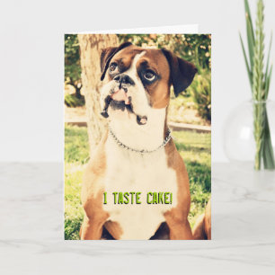 Ich probiere Kuchen! Boxer Birthday Card Karte