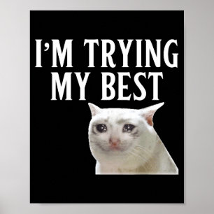 Ich probiere mein lustiges weinendes Katzen-Meme M Poster