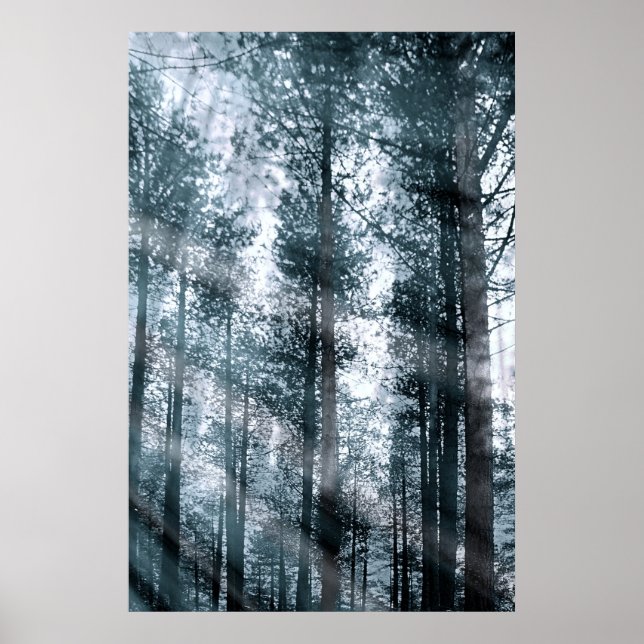 Ich rede mit den Bäumen... Poster (Vorne)