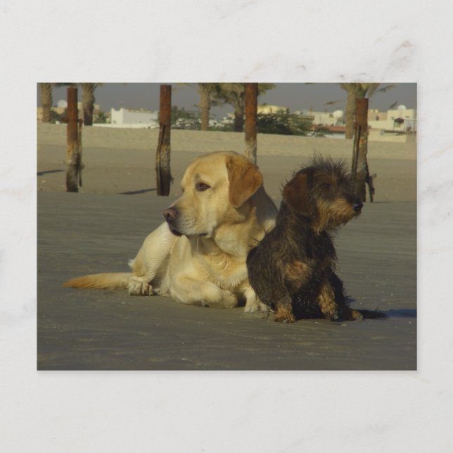 Ich rede nicht mit dir postkarte (Vorderseite)