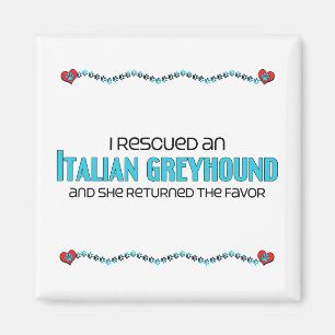Ich rettete einen italienischen Windhund Magnet