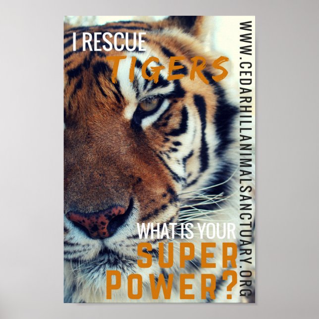 Ich Rettete Tigers Super Power Poster (Vorne)