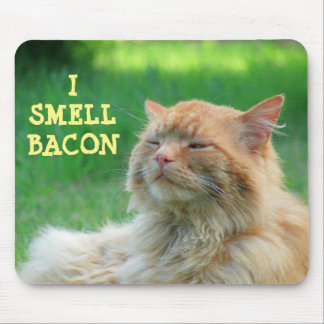 Ich rieche Bacon Big Orange Cat Mousepad