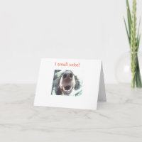 "Ich rieche Kuchen!" Geburtskarte des Hundes