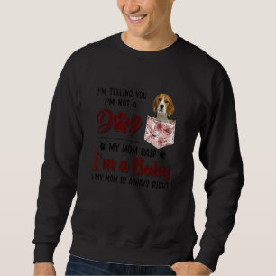 Ich sage Ihnen, dass ich kein Hund bin, sagte mein Sweatshirt