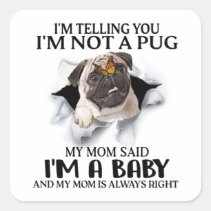 Ich sage Ihnen, ich bin kein Mops, ich bin ein Bab Quadratischer Aufkleber