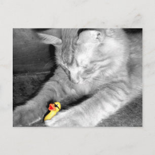 'Ich sagte: Füttre die Katzenente nicht' Rubber-En Postkarte