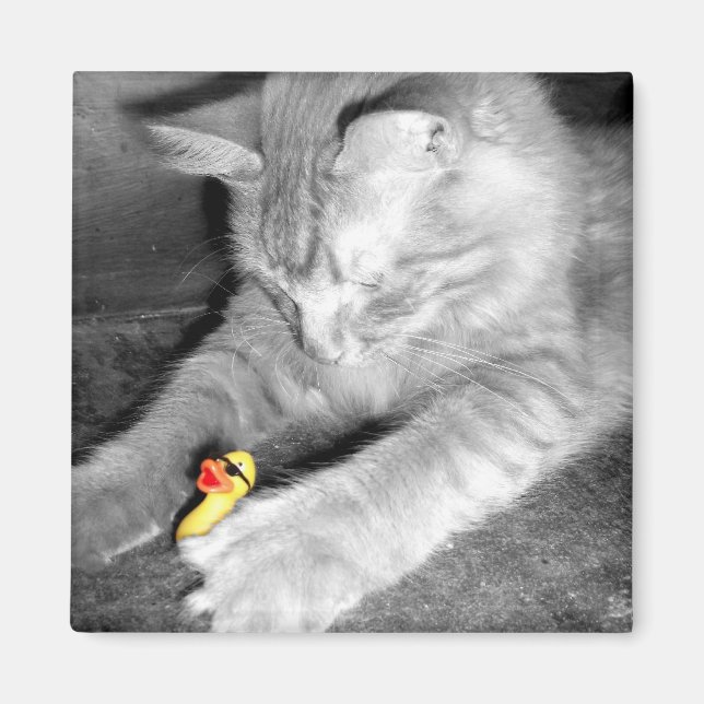 'Ich sagte: Füttre nicht die Katze' Gummi Duck Mag Magnet (Vorne)