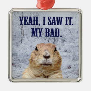 Ich sah es am Tag des Groundhog Silbernes Ornament