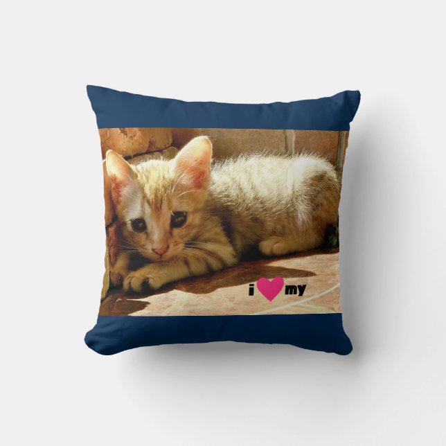 Ich schätze meine Katze Kissen (Vorderseite)