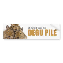 Ich schlafe in einem Degu Stapel-Autoaufkleber