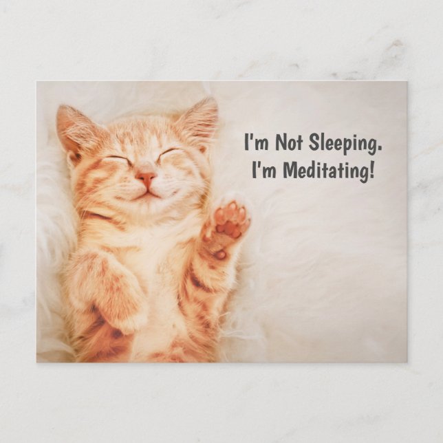 Ich schlafe nicht, ich meditiere die lustige Kitte Postkarte (Vorderseite)