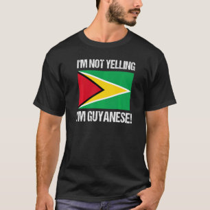 Ich schreibe nicht, dass ich die internationale Fl T-Shirt