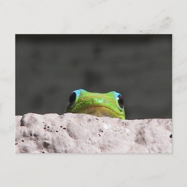 Ich sehe dich Gecko Postkarte (Vorderseite)