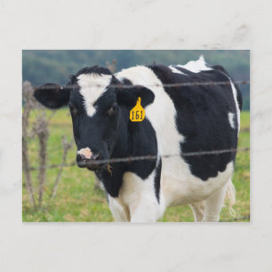Ich sehe dich postkarte