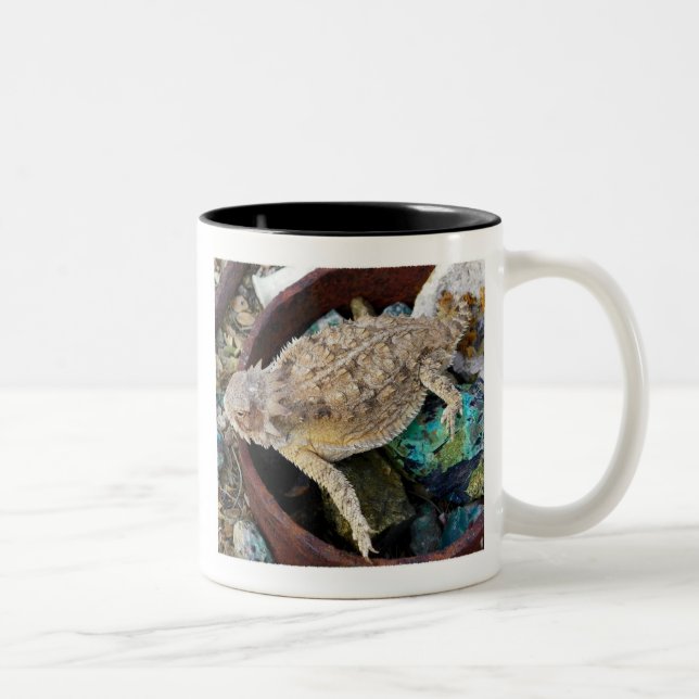 "Ich sehe eine Eidechse auf einem Felsen " Zweifarbige Tasse (Rechts)