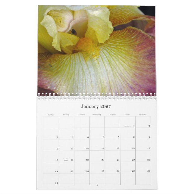 Ich sehe eine Iris Kalender (Jan 2027)