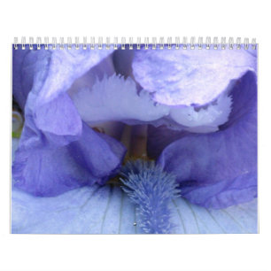 Ich sehe eine Iris Kalender