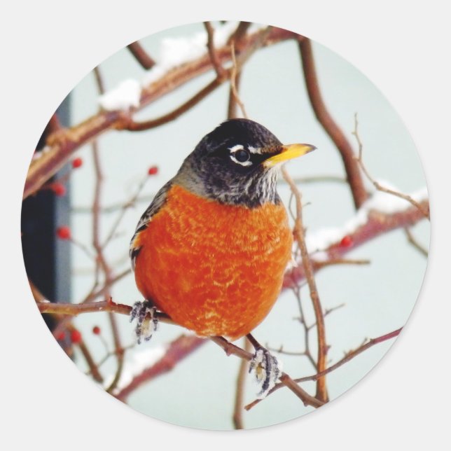 Ich sehe Frühling Runder Aufkleber (Vorderseite)