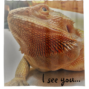 Ich sehe Sie lustiges orange bärtiges Drache-Bild Duschvorhang