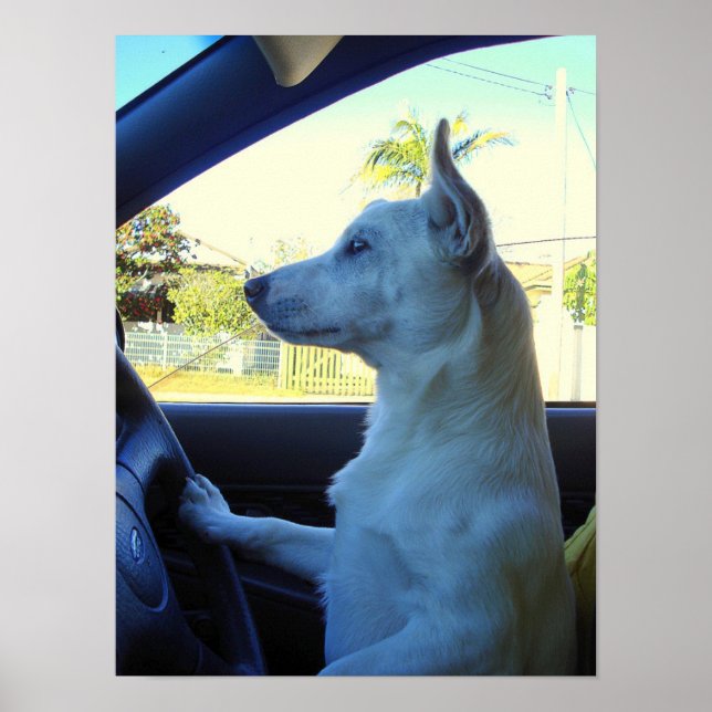 Ich spät poster (Vorne)