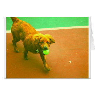 "Ich spiele Sie jederzeit! "