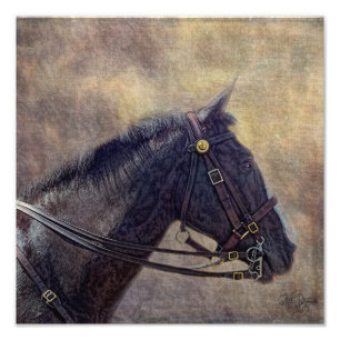 Ich spioniere aus fotodruck