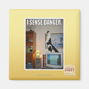 Ich spüre Gefahr Magnet