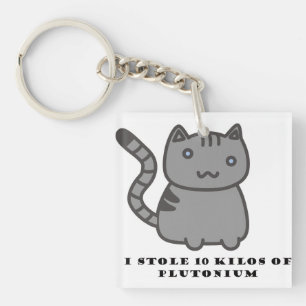 Ich stahl 10 Kilo Plutonium Katze Schlüsselanhänger