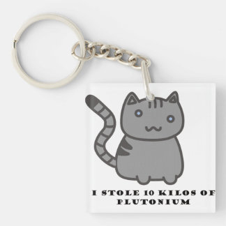 Ich stahl 10 Kilo Plutonium Katze Schlüsselanhänger