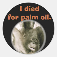 Ich starb für Palm Oil Wildlife Indonesia