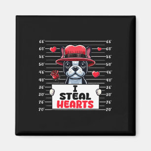 Ich stehle süße Herzen Valentinstag Boston Terrier Magnet