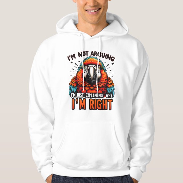 Ich streite nicht hoodie (Vorderseite)