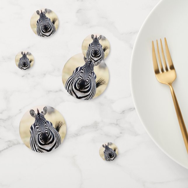 Ich suche Sie nach Zebra-Foto mit Text Konfetti (Gruppe)