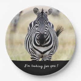 Ich suche Sie nach Zebra-Foto mit Text Pappteller