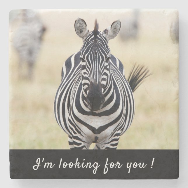 Ich suche Sie nach Zebra-Foto mit Text Steinuntersetzer (Vorderseite)