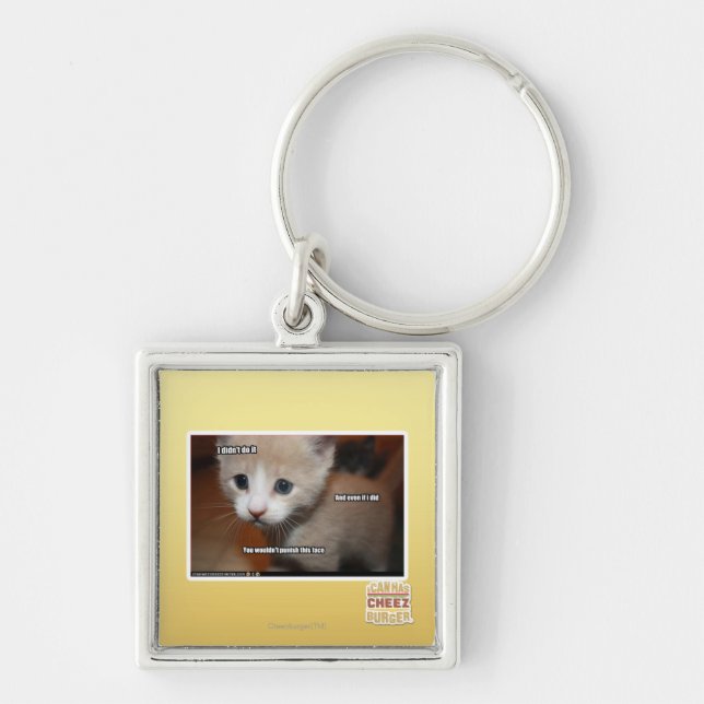 Ich tat es nicht schlüsselanhänger (Vorne)