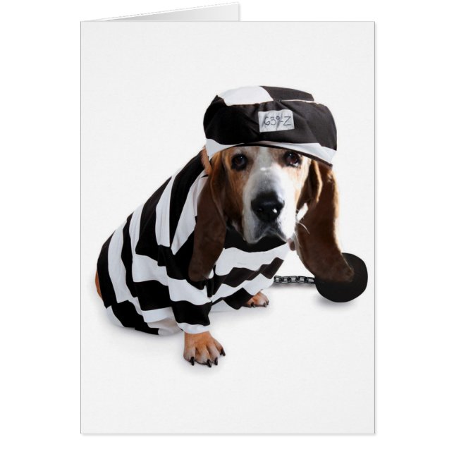 Ich tat nicht gemein es… (Vorne)