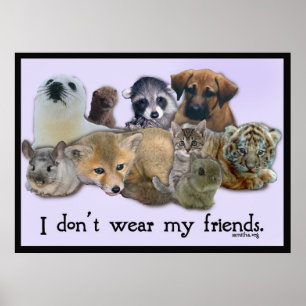 Ich trage meine Freunde nicht Poster