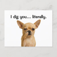 "Ich tu dich.. wörtlich" Chihuahua Funny