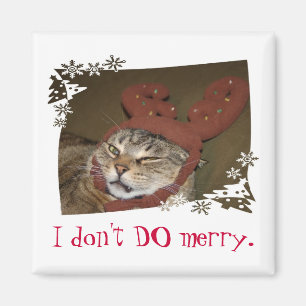 Ich TUE nicht fröhliches. Katze mit Magnet