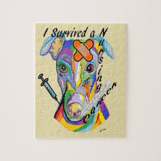 Ich überlebte eine Krankenpflege-Karriere