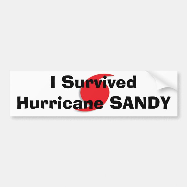 Ich überlebte Hurrikan SANDY-Autoaufkleber Autoaufkleber (Vorne)
