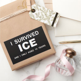 Ich überlebte ICE Rechteckiger Aufkleber