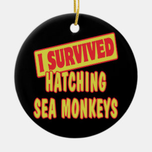 ICH ÜBERLEBTE MEERESMONKEYS KERAMIK ORNAMENT
