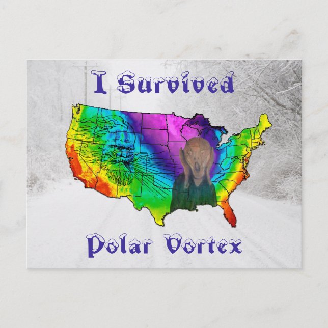 Ich überlebte Polar Vortex Postkarte (Vorderseite)
